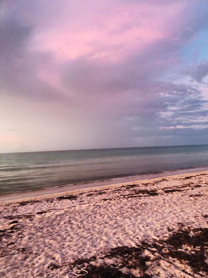 Cabana Tortuga A Unos Pasos De La Playa Daire El Cuyo Dış mekan fotoğraf